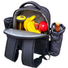 backpack picnic basket